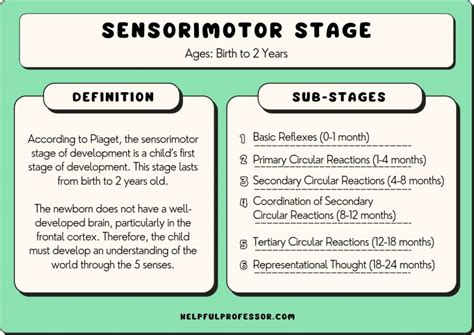What is Piaget&39;s Preoperational stage. . Sensorimotor stage examples brainly